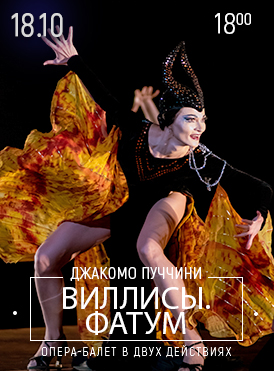 Виллисы